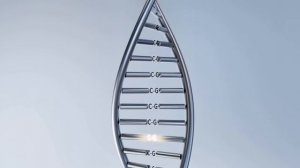 Что такое ДНК