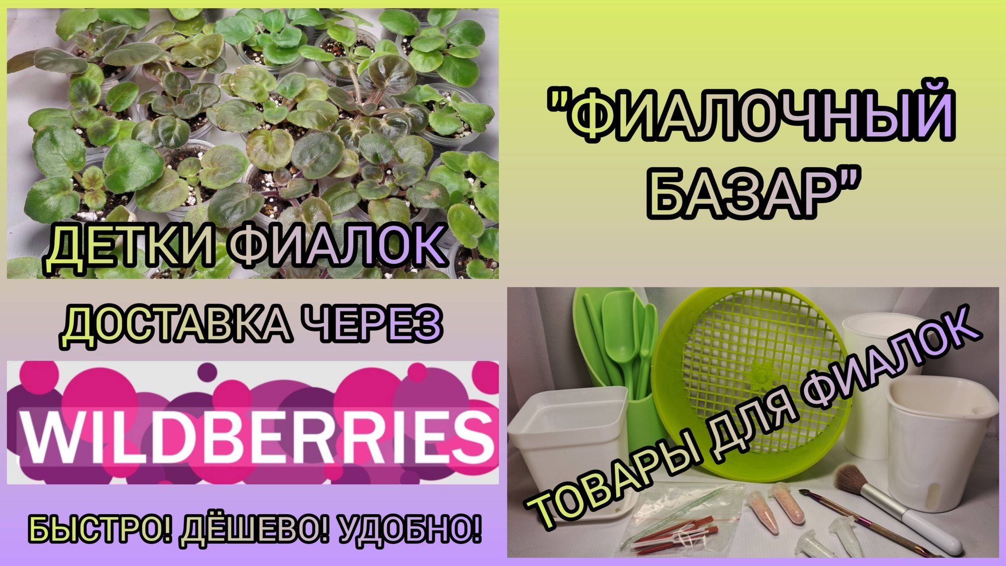 "Фиалочный базар". смотреть онлайн