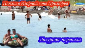 Пляжи в Игорной зоне Приморья, Лазурная черепаха