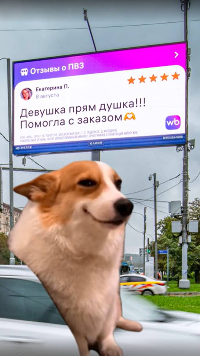 Пожалуйста, оцените наш пункт выдачи в приложении 💜