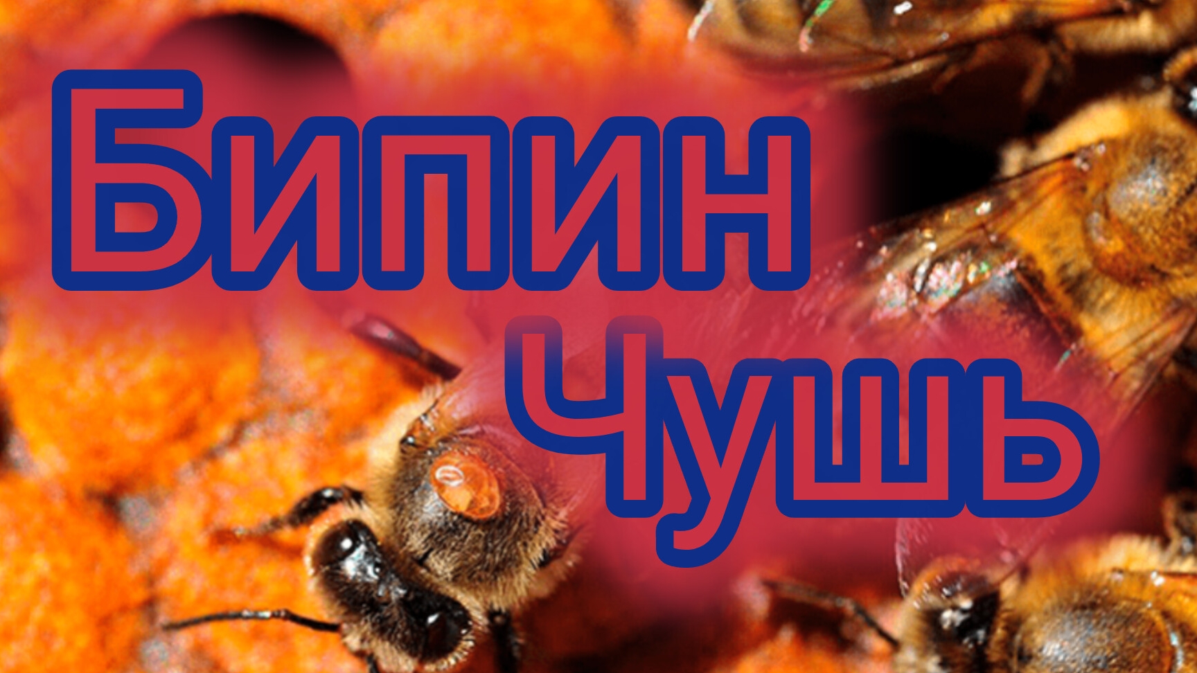 Бипин.Чушь. смотреть онлайн