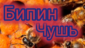 Бипин.Чушь.