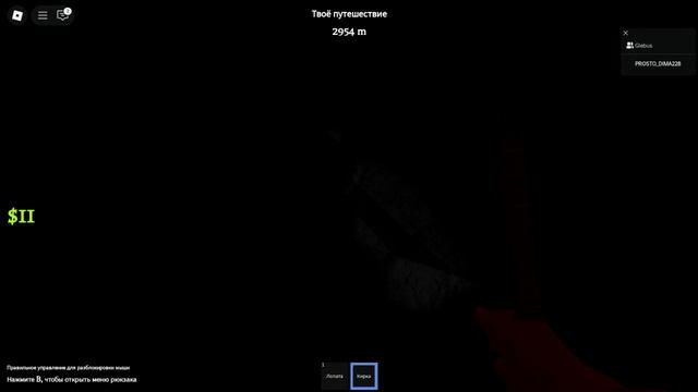 Roblox-2025-06-04T16_50_48.730Z