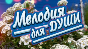 Прекрасное фортепиано, очень красиваямелодия. Мелодия для души