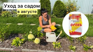 Обязательная подкормка сада в конце сезона!