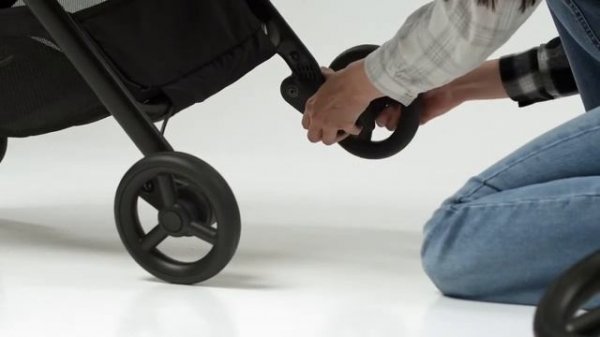 Коляска Anex IQ