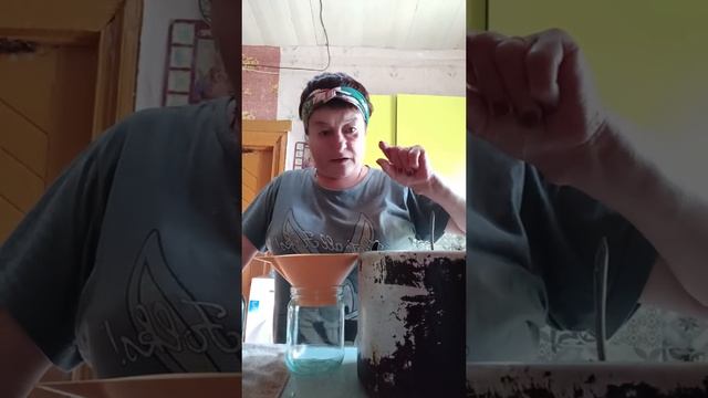 28-08-2025 Кабачковая икра смотреть онлайн