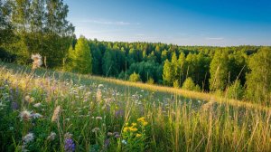 На исходе лета