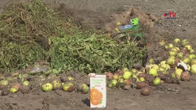 Жителей Воронежа начали штрафовать за мусор у заборов смотреть онлайн