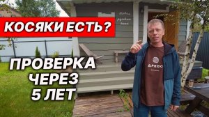 ЧТО СТАЛО c ЕФРЕМОВСКОЙ БАНЕЙ через 5 лет?