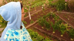 Видео привет с 6 соток 27 августа 2025 года