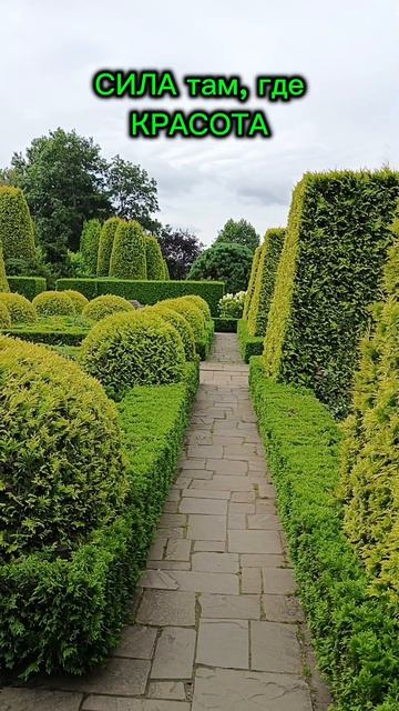 Жизнь прекрасна☀ смотреть онлайн