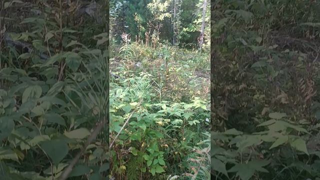 Участок в Горном смотреть онлайн