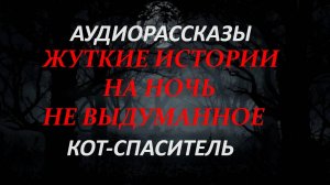 СТРАШНЫЕ РАССКАЗЫ НА НОЧЬ-КОТ АНГЕЛ ХРАНИТЕЛЬ