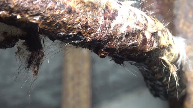 Амурск Готовы ли наши дома к зиме смотреть онлайн