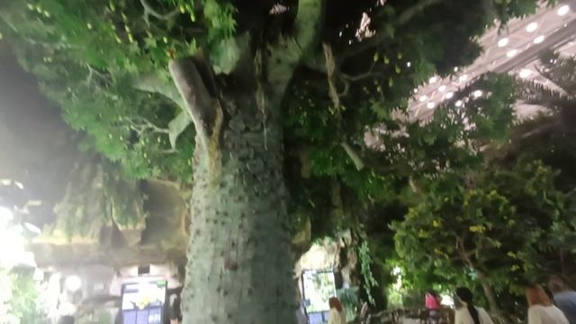 ЖДУ ЭПТС... ОКЕАНАРИУМ ВЛАДИВОСТОКА смотреть онлайн