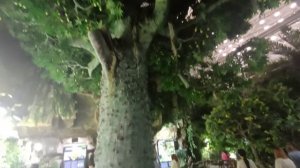 ЖДУ ЭПТС... ОКЕАНАРИУМ ВЛАДИВОСТОКА