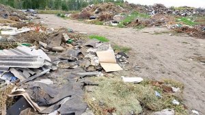 Сколько металлолома я нашёл на свалке.