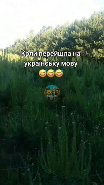 Вот что бывает, когда выдумываешь себе мову на коленке смотреть онлайн