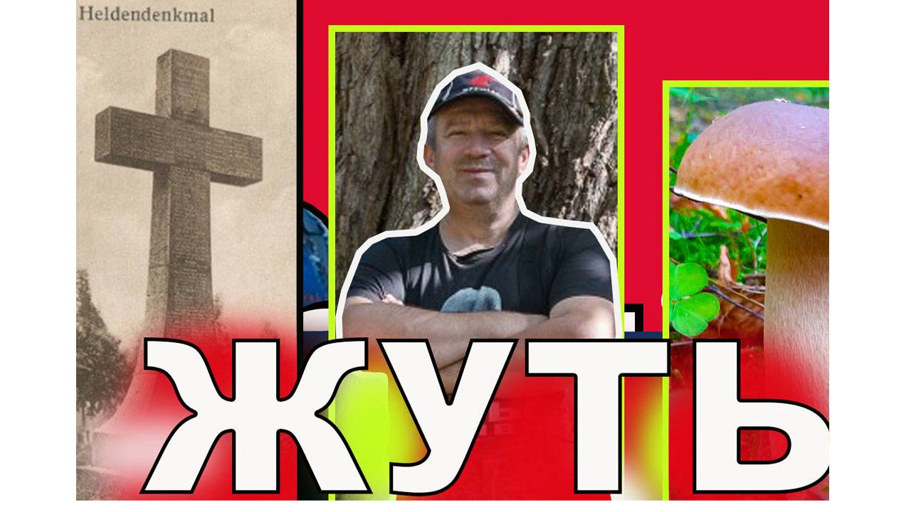 «Тайны древнего леса: грибная охота сквозь века»