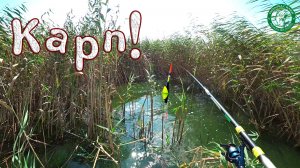 ОФИГЕННАЯ РЫБАЛКА НА НЕМЕЦКОМ ОЗЕРЕ С НОЧЕВКОЙ! У КОГО УДОЧКИ ЛОМАЕТ, А У НАС? РЫБАЛКА В КАЗАХСТАНЕ!