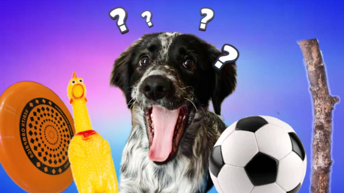 КАКУЮ ИГРУШКУ ВЫБЕРЕТ СОБАКА смотреть онлайн