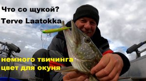 Что со щукой? Немного твичинга. Терве Лаатокка. Цвет на окуня.