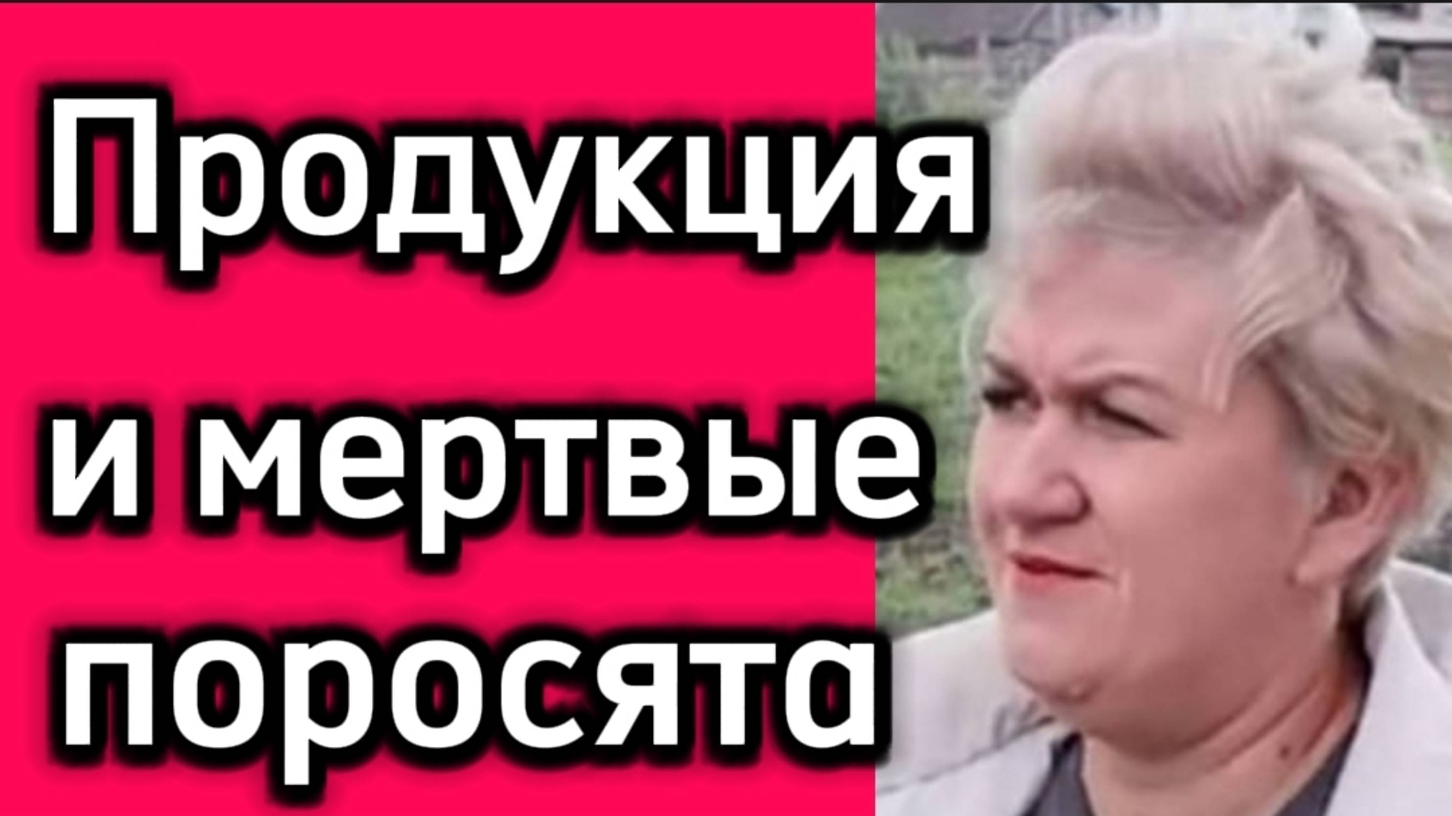 Продукция и мёртвые поросята. смотреть онлайн