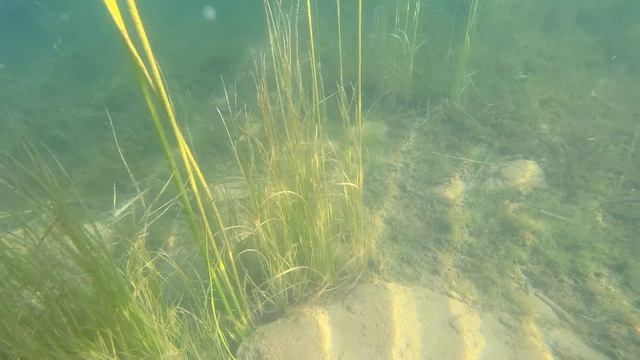 Отдых по - дикарю на озере Увильды. Заплыв по островам. Звёздный состав. Походная баня Morzh. Кайф.