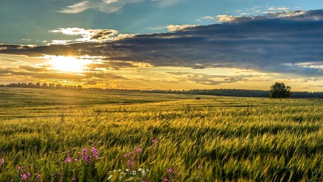 ДОГОНИ МЕНЯ👍(В.Черницкий)👍👍👍 смотреть онлайн