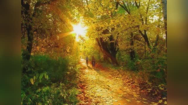 Ирина Самарина - Лабиринт "Оттого, что прощается лето" читает Любовь Б. смотреть онлайн