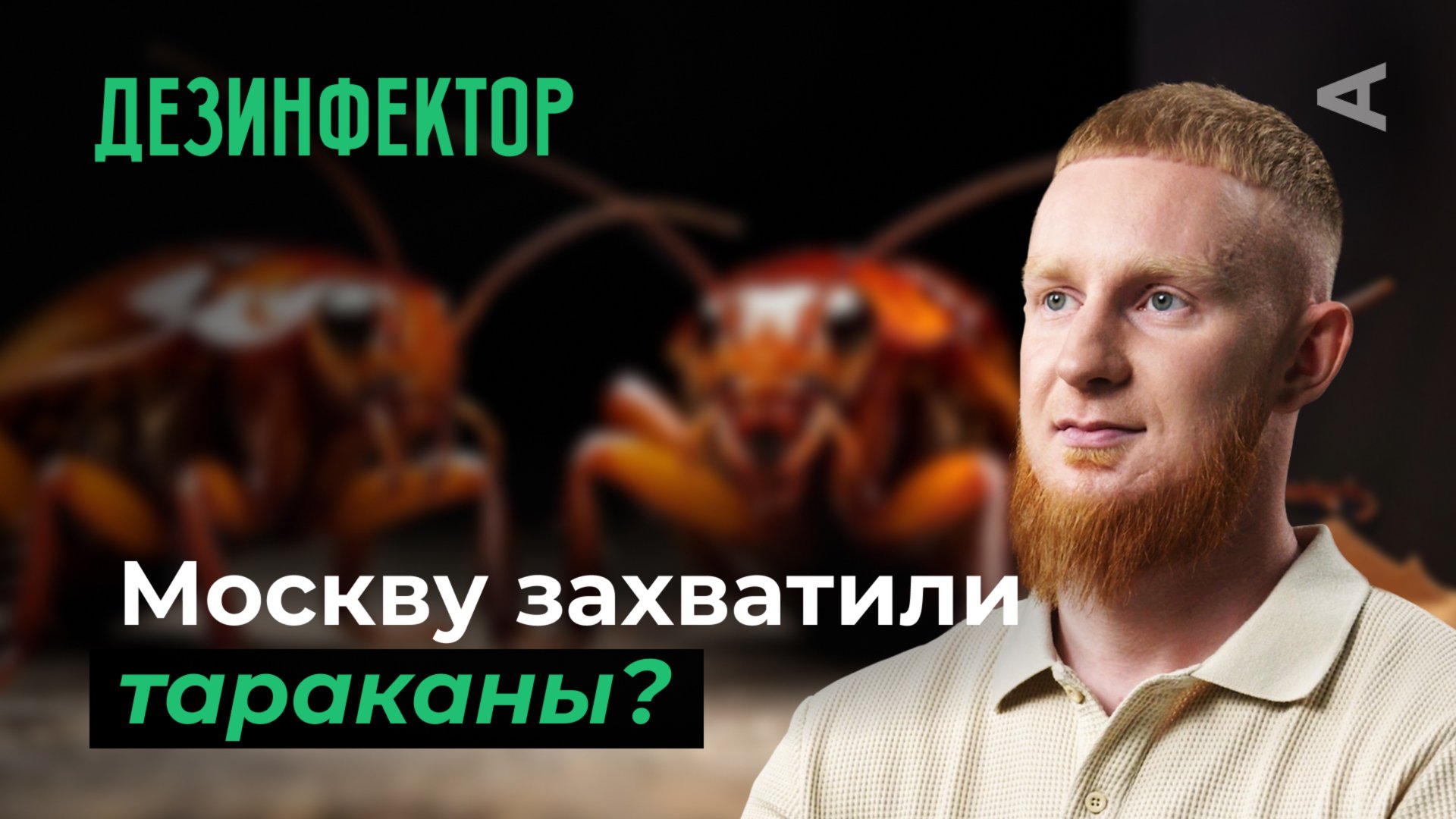 10 глупых вопросов ДЕЗИНФЕКТОРУ смотреть онлайн