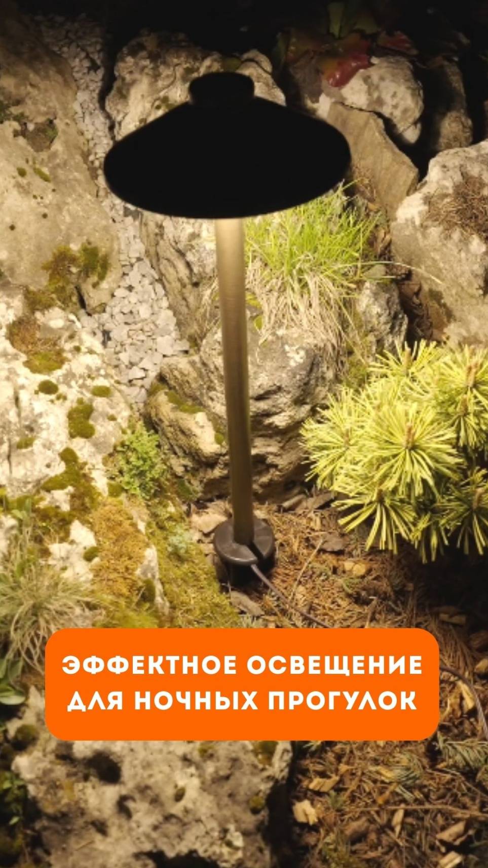 Эффектное освещение для ночных прогулок!