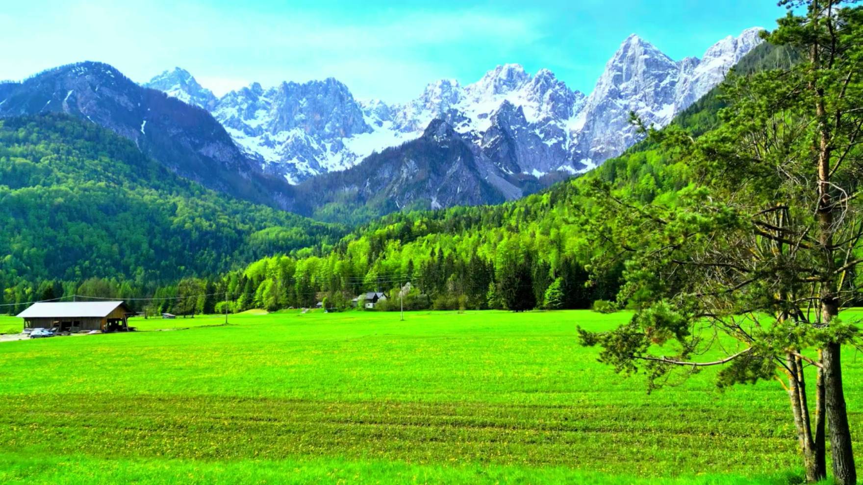 Природа в хорошем качестве и красивая фоновая музыка