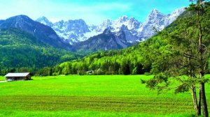 Природа в хорошем качестве и красивая фоновая музыка