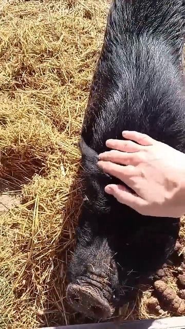 ℝ𝕠𝕞𝕒𝟙𝟘𝟘 𝔹𝕃og