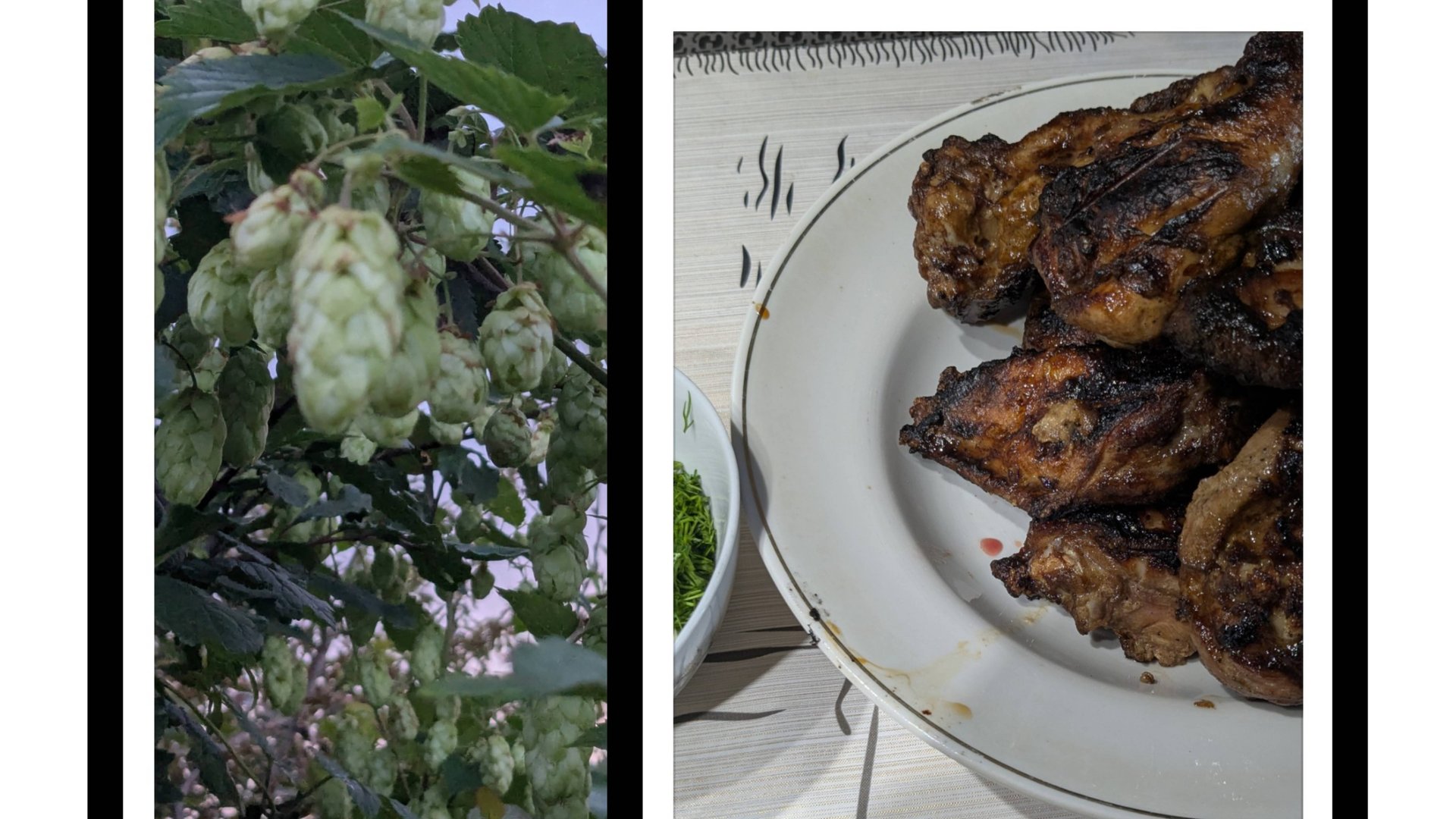 Огород как весной. Все зеленеет. смотреть онлайн