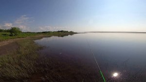 В Погоне За Крокодилами...