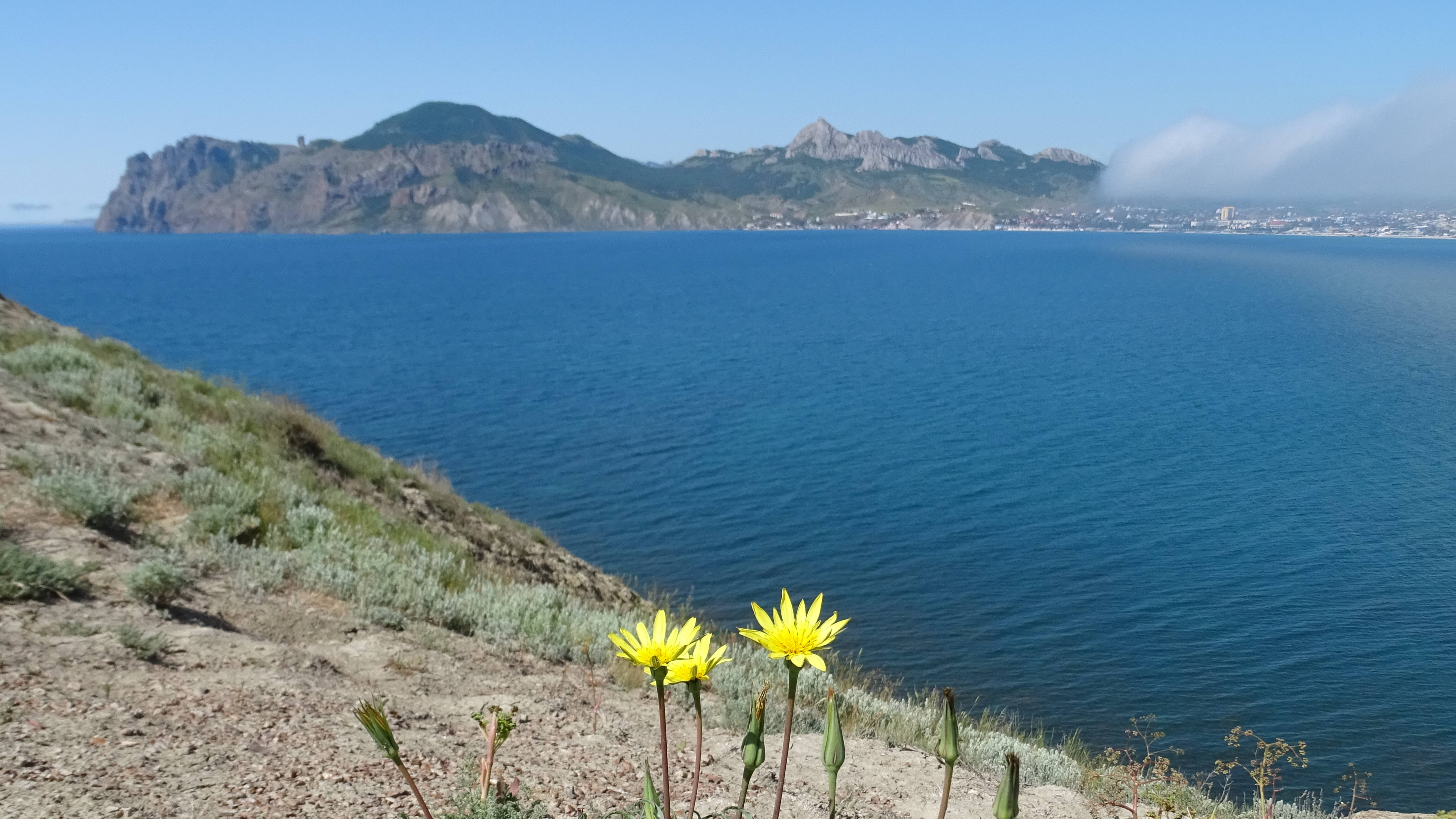 "Звездопад Воспоминаний" с.Наниково, Республика Крым . смотреть онлайн