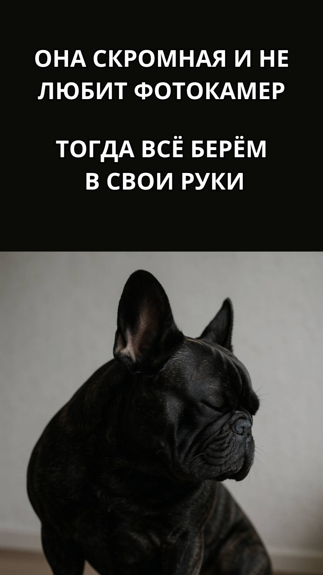 Пикуля не любит фотографироваться