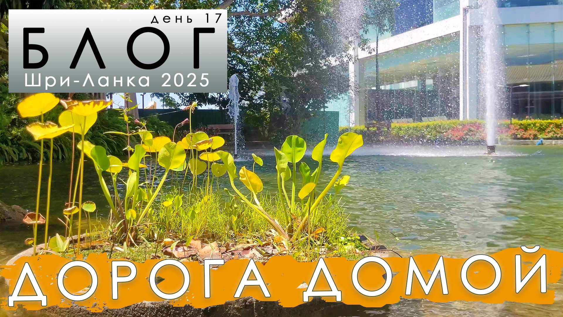 #17 Дорога домой.Матара-Аэропорт Коломбо на автобусе. Бизнес-зал Лотус. Пересадка 45 минут в Шардже смотреть онлайн