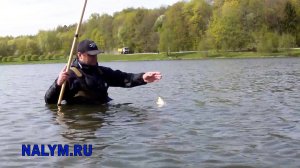 Боковой кивок на прудах.