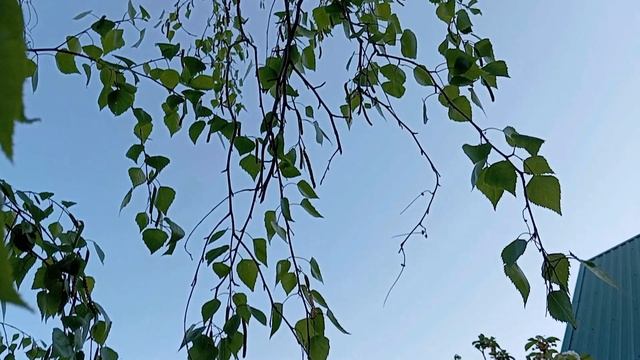 ТАМ, ГДЕ ТЫ - Жанна Вишнякова Арс смотреть онлайн