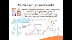 10.2 Антивитамины