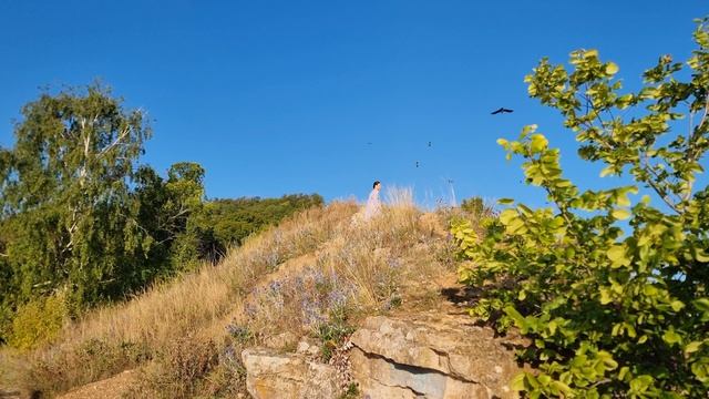 Остановись, Мгновенье! Песня Ольги Транквиллевской