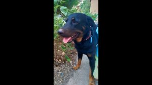 Джек в активном поиске семьи и дома.