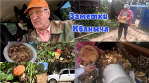 Грибной выпуск и не только