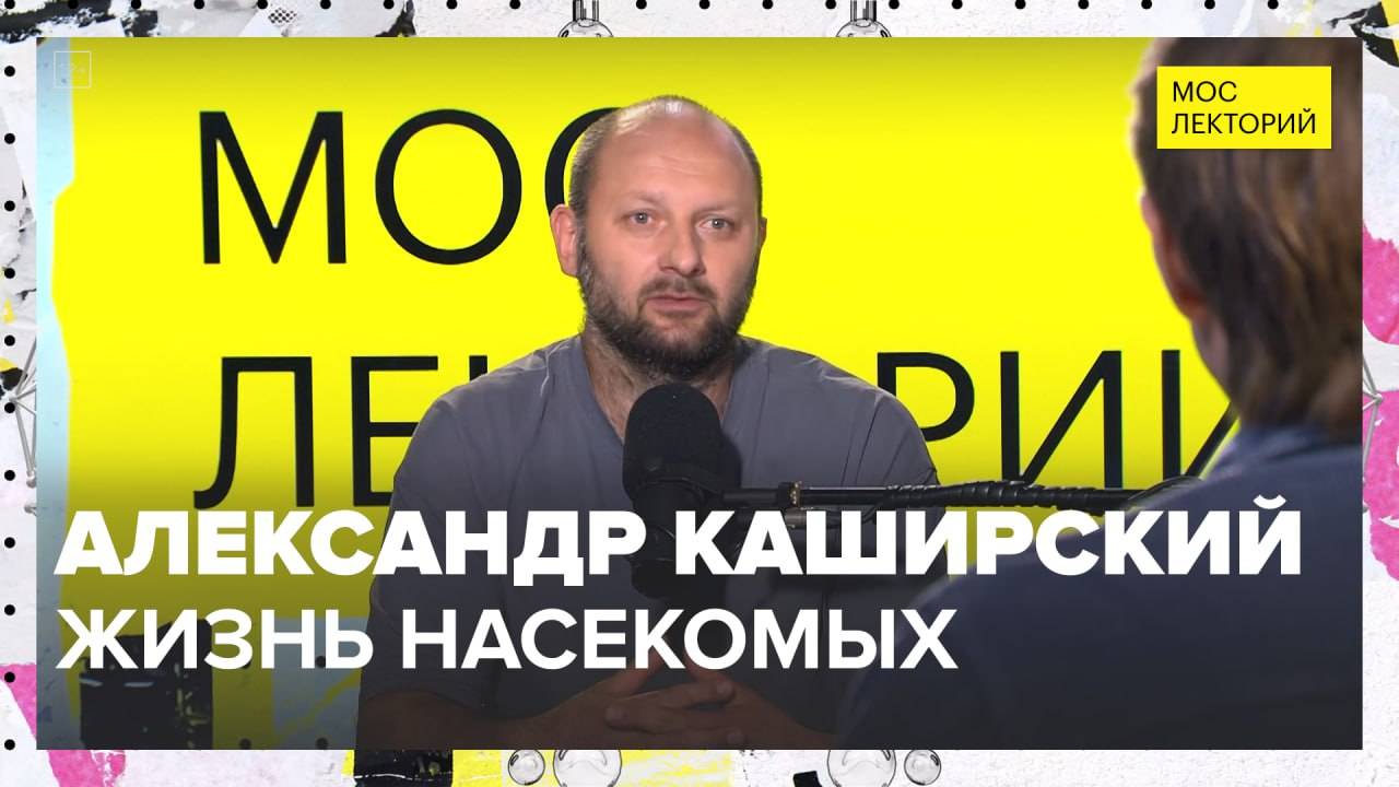 Жизнь насекомых | Александр Каширский Лекция 2025 | Мослекторий смотреть онлайн