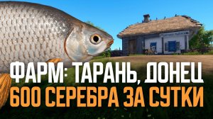 Две точки на Тарань. Фарм 600 серебра. Северский Донец ● Русская рыбалка 4 ● Перчик РР4