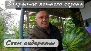 Закрытие летнего сезона Сеем сидераты